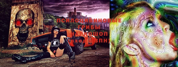 дурь Верея