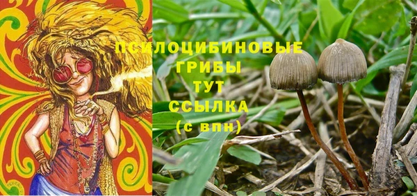каннабис Сатка