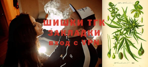 винт Бородино