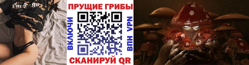 где купить наркоту  Северобайкальск  Псилоцибиновые грибы Magic Shrooms 